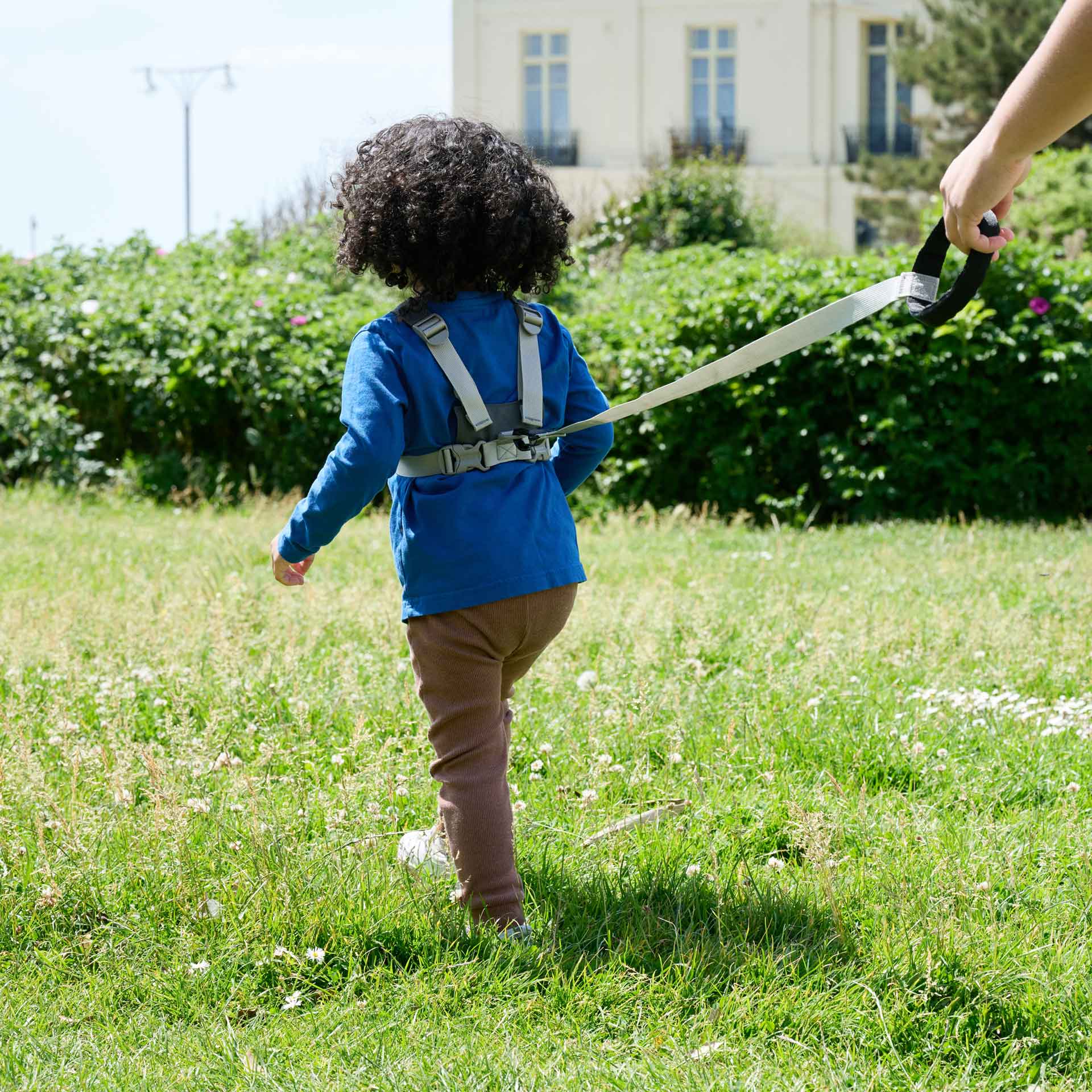 Safety reins for toddlers on sale